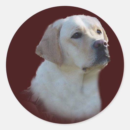 Labrador Retriever Sticker (Voorkant)