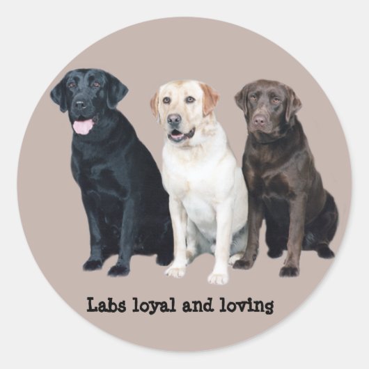 Labrador Retriever Sticker (Voorkant)