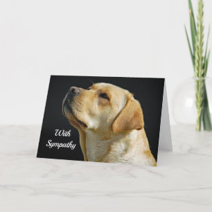 Labrador Retriever Sympathiekaart Kaart