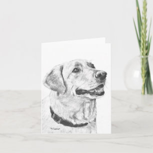 Labrador Retriever Tekening Kaart
