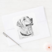 Labrador Retriever Tekening Vierkante Sticker (Envelop)