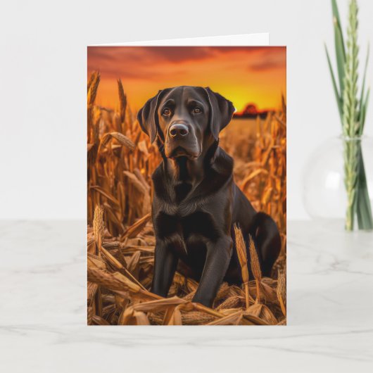 Labrador Retriever Thanksgiving Feestdagen Kaart (Voorkant)