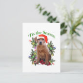 Labrador Retriever ‘Tis Briefkaart (Staand voorkant)