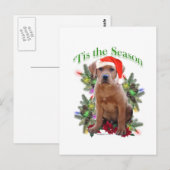 Labrador Retriever ‘Tis Briefkaart (Voorkant / Achterkant)