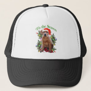 Labrador Retriever ‘Tis Trucker Pet