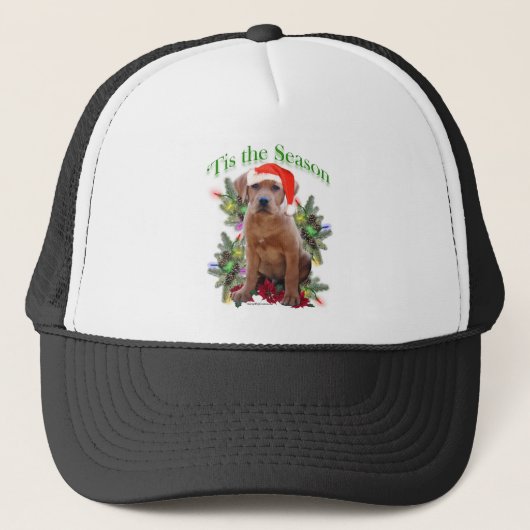 Labrador Retriever ‘Tis Trucker Pet (Voorkant)