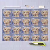 Labrador Retriever Tissuepapier (Craft)