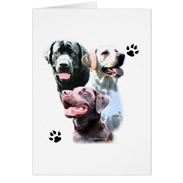 Labrador Retriever Trio (Voorkant)
