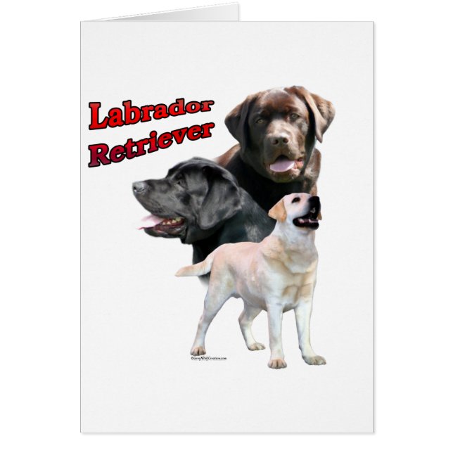 Labrador Retriever Trio 2 (Voorkant)