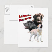 Labrador Retriever Trio 2 Briefkaart (Voorkant / Achterkant)