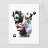 Labrador Retriever Trio Briefkaart (Voorkant)
