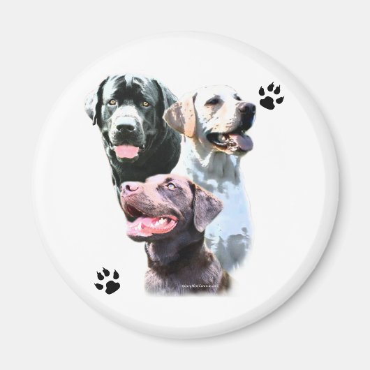 Labrador Retriever Trio - Magneet (Voorkant)