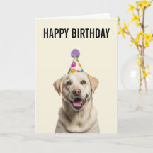 Labrador Retriever Verjaardagsfeest