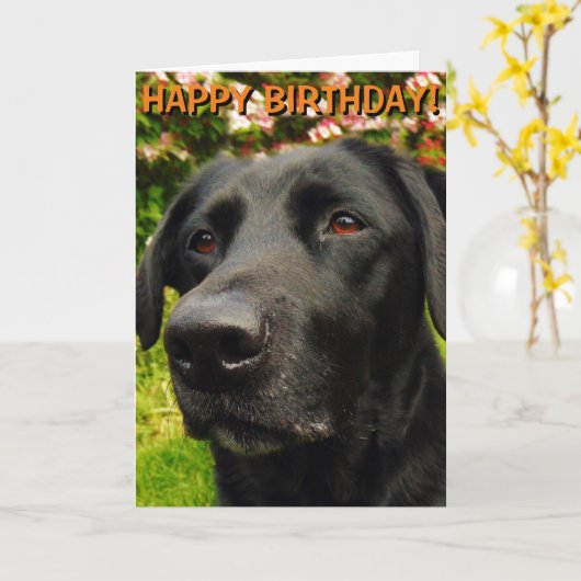 Labrador Retriever verjaardagskaart Kaart (Gele Bloem)