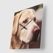 Labrador Retriever Vierkante Klok (Hoek)