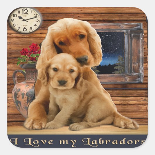Labrador Retriever Vierkante Sticker (Voorkant)