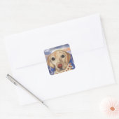 Labrador Retriever Vierkante Sticker (Envelop)