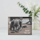 Labrador Retriever We hebben een nieuw adres verpl Aankondigingskaart (Staand voorkant)