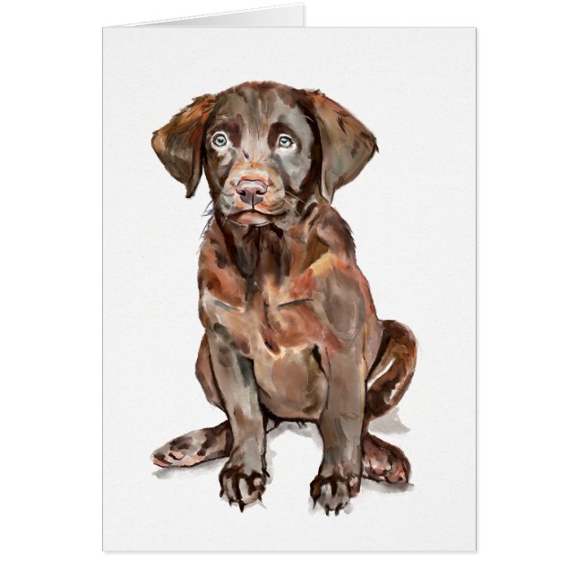 Labrador Retriever Wenskaart (Voorkant)