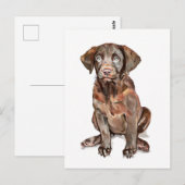 Labrador Retriever Wenskaart Briefkaart (Voorkant / Achterkant)