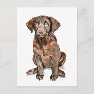 Labrador Retriever Wenskaart Briefkaart