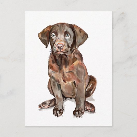 Labrador Retriever Wenskaart Briefkaart (Voorkant)
