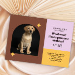 Labrador Retriever Woof Verjaardagsgroet Kaart<br><div class="desc">Vier het met een schors en een zwaai met ons Labrador Retriever Woof Birthday Wenskaart! Met een schattige Labrador retriever in een vrolijk verjaardagsontwerp, is deze kaart ideaal voor hondenliefhebbers en iedereen die een speciale dag viert. Binnen wachten hartverwarmende verjaardagswensen, belooft een dag vol staartwags, puppykussen en de heerlijke aanwezigheid...</div>