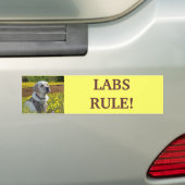 Labrador Retriever Yellow Flowers Bumpersticker (Op auto)