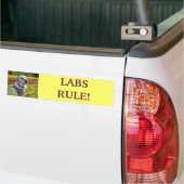Labrador Retriever Yellow Flowers Bumpersticker (Op Truck)
