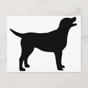 Labrador Retriever (zwart) Briefkaart
