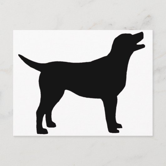 Labrador Retriever (zwart) Briefkaart (Voorkant)