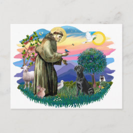 Labrador Retriever (zwart) Briefkaart