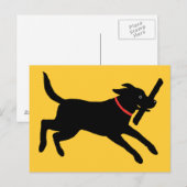 Labrador Retriever (zwart) Briefkaart (Voorkant / Achterkant)