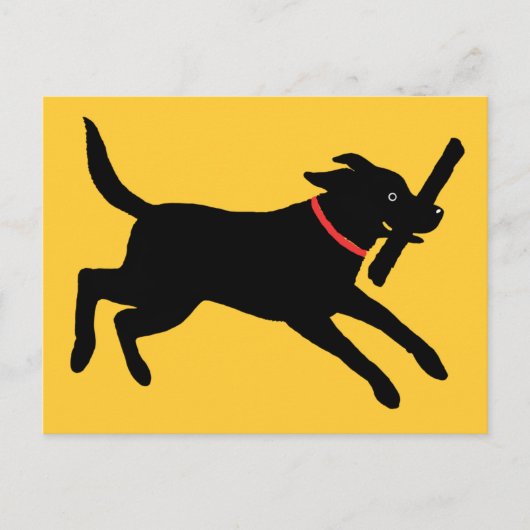 Labrador Retriever (zwart) Briefkaart (Voorkant)