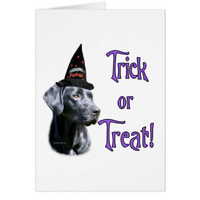 Labrador Retriever (zwart)Trick (Voorkant)