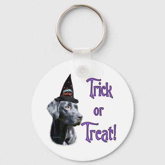 Labrador Retriever (zwart)Trick Sleutelhanger (Voorkant)