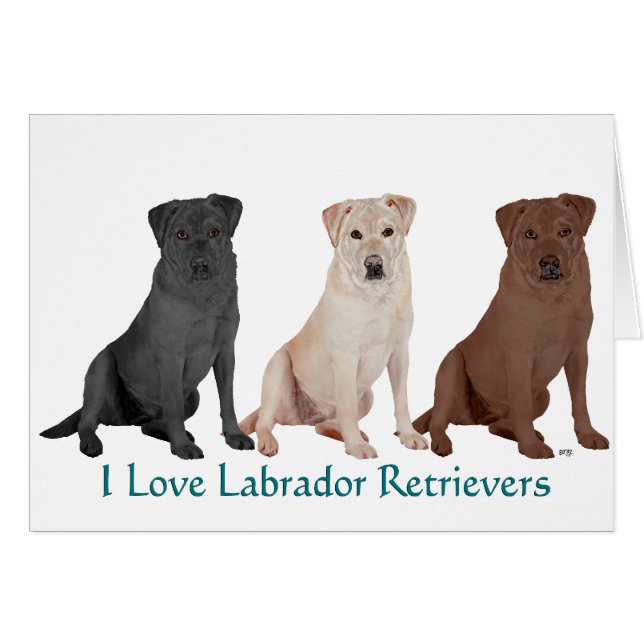 Labrador Retrievers - 3 Kleuren om van te houden (Voorkant Horizontaal)