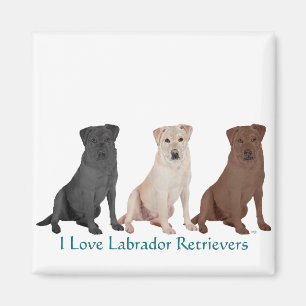 Labrador Retrievers - 3 Kleuren om van te houden Magneet