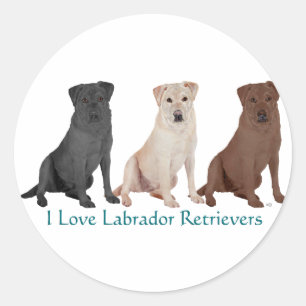 Labrador Retrievers - 3 kleuren tot liefde Ronde Sticker