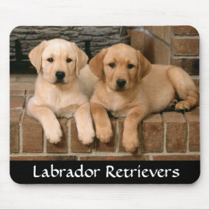 Labrador Retrievers Heersen Hondenjongens Muismat