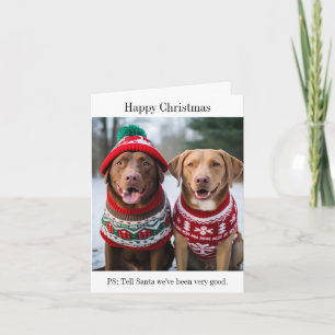 Labrador Retrievers in Kerst Jumpers Kaart