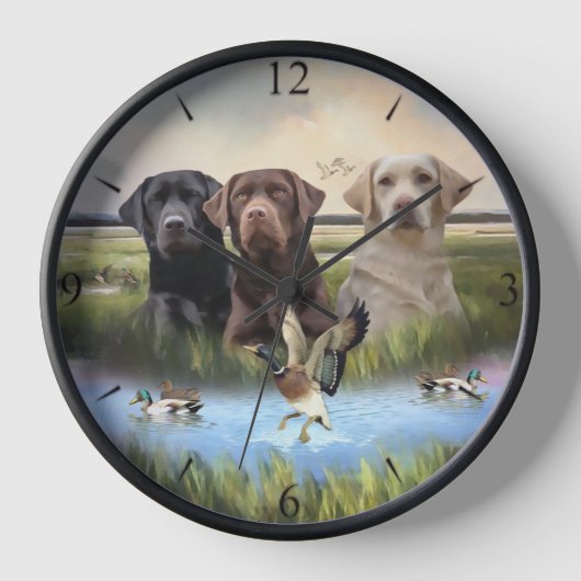 labrador retrievers (jachthonden) (Voorkant)