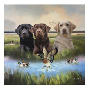 labrador retrievers (jachthonden) perfect poster