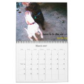 Labrador Retrievers Kalender (Mar 2027)
