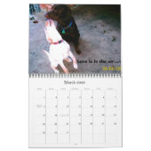 Labrador Retrievers Kalender (Mar 2026)