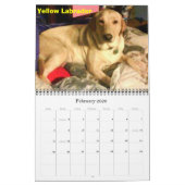 Labrador Retrievers Kalender (Feb 2026)