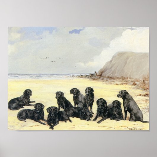 Labrador Retrievers op de aansnijder Poster (Voorkant)