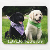 Labrador Retrievers Rule Puppies Mousepad Muismat (Voorkant)