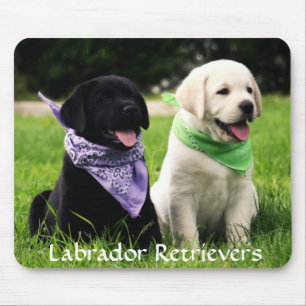 Labrador Retrievers Rule Puppies Mousepad Muismat
