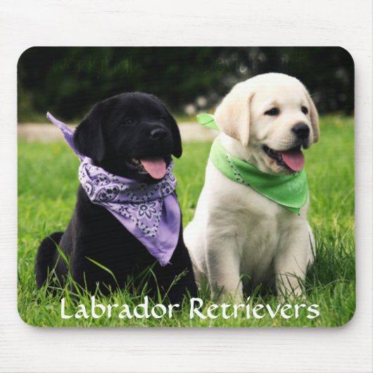 Labrador Retrievers Rule Puppies Mousepad Muismat (Voorkant)